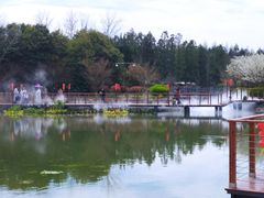 -东平国家森林公园