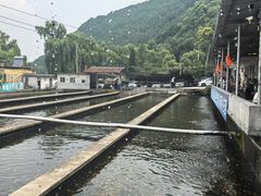 -青龙潭鱼庄