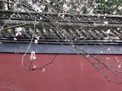 -钱王祠
