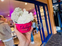 -Dooley's Premium Ice Cream