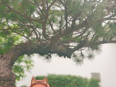 -浙江大学医学院附属第一医院(庆春院区)