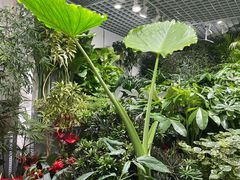 -三旗百汇商品城