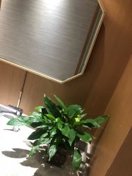 -苑苑vbeauty科技美容SPA
