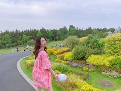 -南京银杏湖乐园