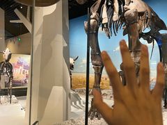 -国家自然博物馆