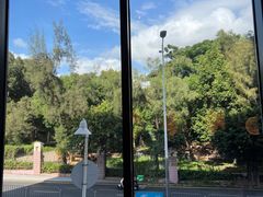 -The Lounge大堂酒廊·咖啡·沙拉·下午茶(金茂深圳JW万豪酒店)