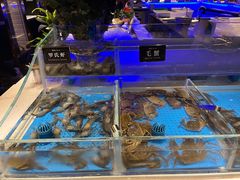 -加餐海鲜自助(宝龙一城店)