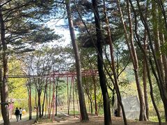 -玉泉威虎山森林公园