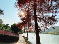 -明月山天沐温泉度假村