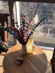 -彩虹之门健康管理