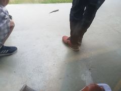 -前小桔亲子创意农场·草莓采摘·露营烧烤