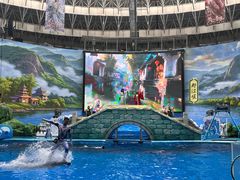 -海合安成都极地海洋公园