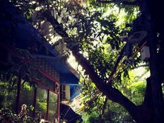 -小洲村
