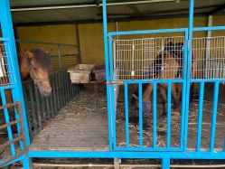 -小蜜蜂农场(凯德七宝购物广场店)