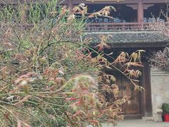 -灵隐飞来峰景区