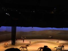 -cavalia·舞马