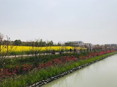 -上海浦江郊野公园-5号停车场