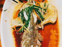 清蒸桂鱼-阳光茶餐