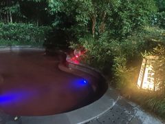 -杭州第一世界大酒店·云曼温泉