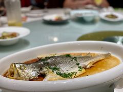 -梦都海鲜酒家(万达广场江桥店)