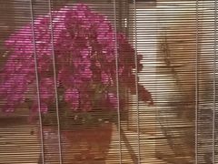 -ZEN采蝶轩·粤味臻鲜·手作点心·商务宴请(泰州店)