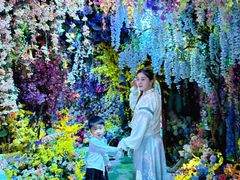 -正佳雨林生态植物园