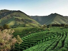 -帐篷客·溪龙茶谷度假酒店