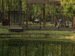 -黄海国家森林公园