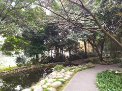 -成都市活水公园