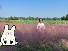 -长兴太湖图影湿地文化园