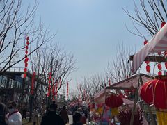 -三圣花乡旅游区