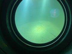 -白鹤梁水下博物馆