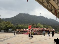-大雁山风景区