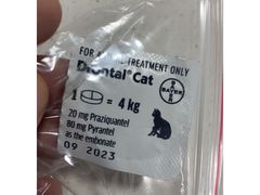 -守诺宠物医院·眼科· 特色牙科·异宠专科(虹口店)