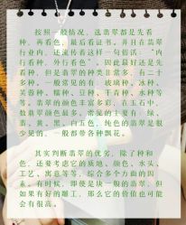 -春全合珠宝(官园珠宝城店)