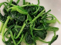 -上海世茂皇家艾美酒店
