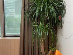 -鑫意棋牌会所(长寿路智慧广场店)
