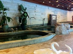 -天目湖涵田半山温泉