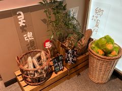 -佬肥猫(七宝宝龙店)