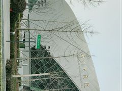 -郑州大剧院