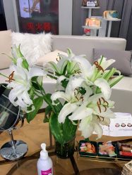 -上海漾颜医疗美容