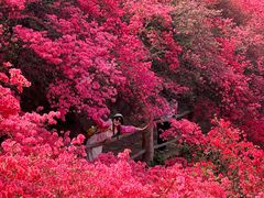 -木兰云雾山