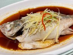 清蒸鲈鱼-西安阳光国际大酒店·中餐厅
