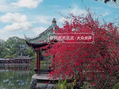 -棠湖公园