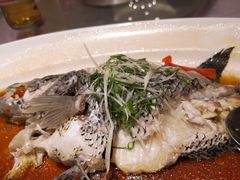 -宝燕壹号(徐汇店)