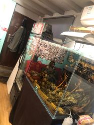 点击看大图 -MDZ STORE·TATTOO·耳饰