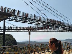 -梦幻奥陶纪景区