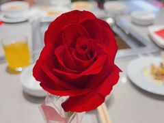 -海底捞火锅(丰尚国际广场店)