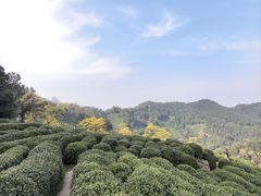 -十里琅珰