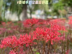 -白塘生态植物园